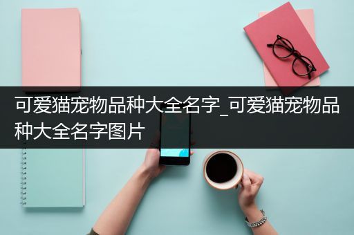 可爱猫宠物品种大全名字_可爱猫宠物品种大全名字图片