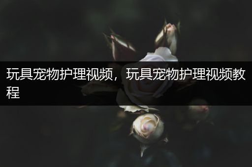 玩具宠物护理视频，玩具宠物护理视频教程