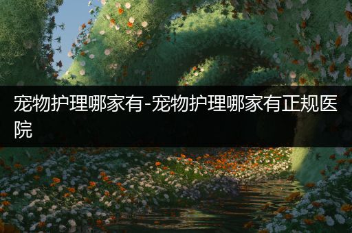 宠物护理哪家有-宠物护理哪家有正规医院