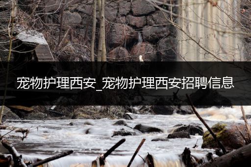 宠物护理西安_宠物护理西安招聘信息