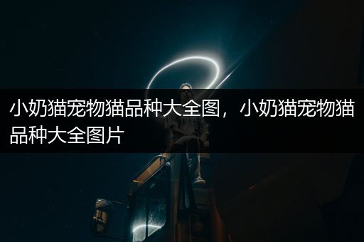 小奶猫宠物猫品种大全图，小奶猫宠物猫品种大全图片