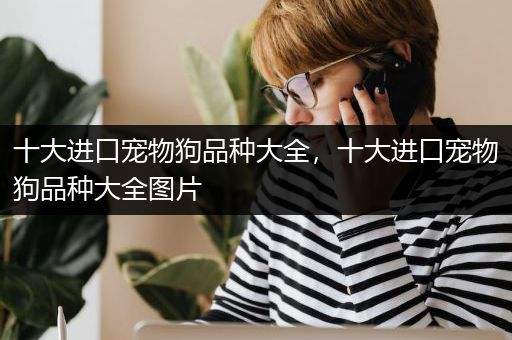 十大进口宠物狗品种大全，十大进口宠物狗品种大全图片