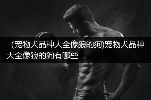 （宠物犬品种大全像狼的狗)宠物犬品种大全像狼的狗有哪些