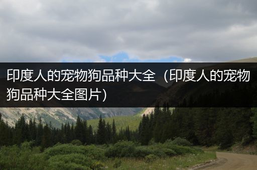 印度人的宠物狗品种大全（印度人的宠物狗品种大全图片）