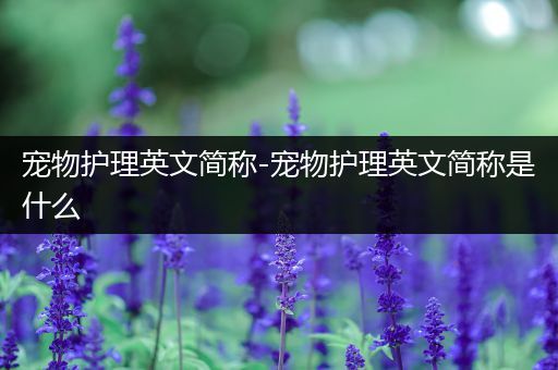 宠物护理英文简称-宠物护理英文简称是什么