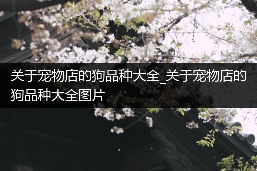 关于宠物店的狗品种大全_关于宠物店的狗品种大全图片