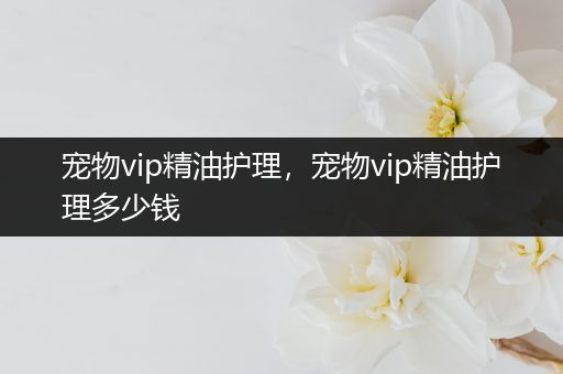 宠物vip精油护理，宠物vip精油护理多少钱