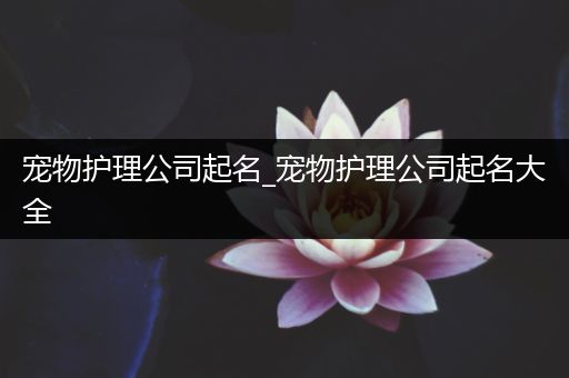 宠物护理公司起名_宠物护理公司起名大全