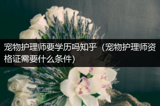 宠物护理师要学历吗知乎（宠物护理师资格证需要什么条件）