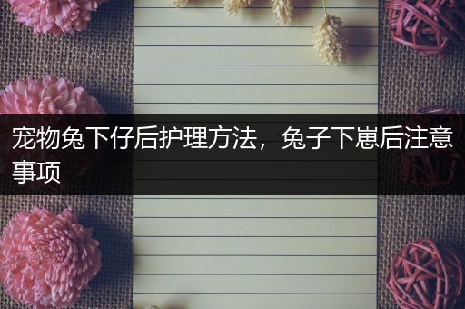 宠物兔下仔后护理方法，兔子下崽后注意事项