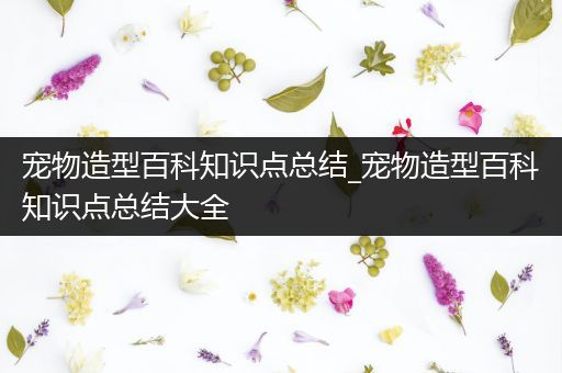 宠物造型百科知识点总结_宠物造型百科知识点总结大全