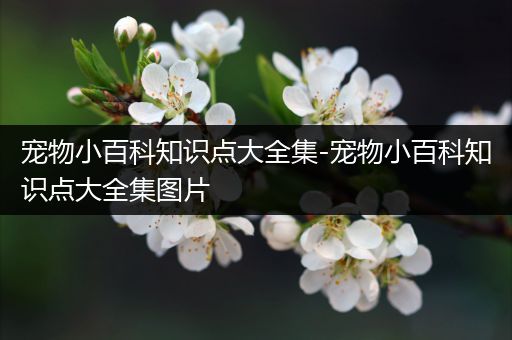 宠物小百科知识点大全集-宠物小百科知识点大全集图片