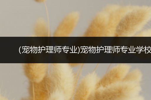 （宠物护理师专业)宠物护理师专业学校