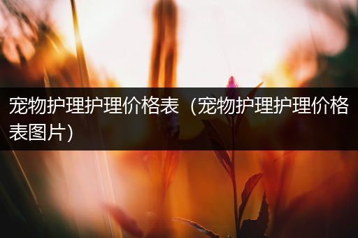 宠物护理护理价格表（宠物护理护理价格表图片）