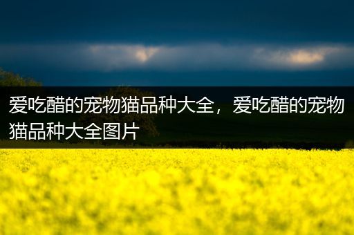 爱吃醋的宠物猫品种大全，爱吃醋的宠物猫品种大全图片
