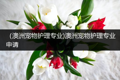 （澳洲宠物护理专业)澳洲宠物护理专业申请