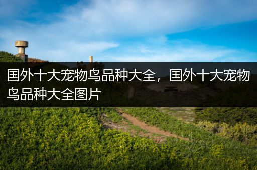 国外十大宠物鸟品种大全，国外十大宠物鸟品种大全图片