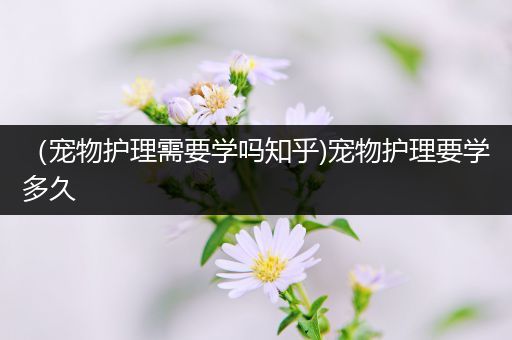 （宠物护理需要学吗知乎)宠物护理要学多久