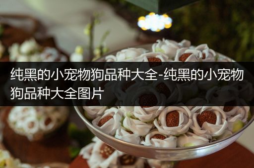 纯黑的小宠物狗品种大全-纯黑的小宠物狗品种大全图片