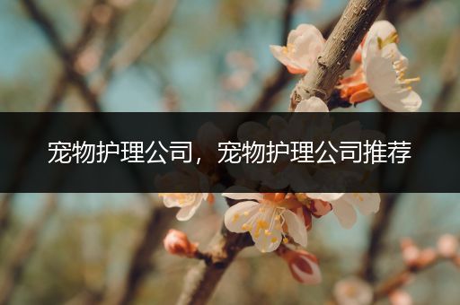 宠物护理公司，宠物护理公司推荐