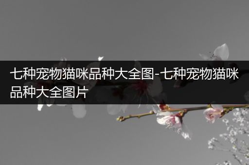 七种宠物猫咪品种大全图-七种宠物猫咪品种大全图片