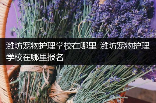 潍坊宠物护理学校在哪里-潍坊宠物护理学校在哪里报名