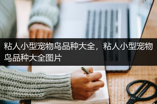 粘人小型宠物鸟品种大全，粘人小型宠物鸟品种大全图片