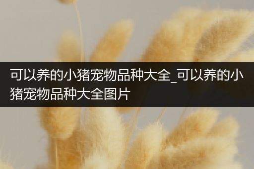 可以养的小猪宠物品种大全_可以养的小猪宠物品种大全图片