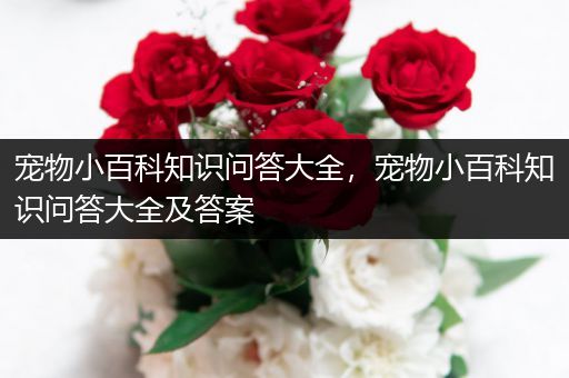 宠物小百科知识问答大全，宠物小百科知识问答大全及答案