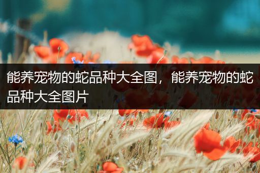 能养宠物的蛇品种大全图，能养宠物的蛇品种大全图片
