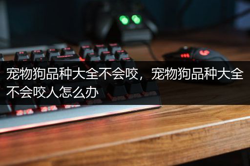 宠物狗品种大全不会咬，宠物狗品种大全不会咬人怎么办