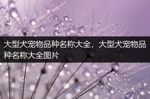 大型犬宠物品种名称大全，大型犬宠物品种名称大全图片