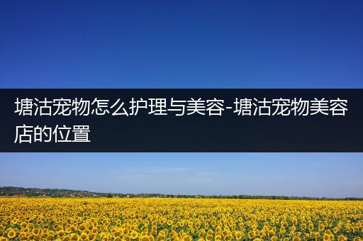 塘沽宠物怎么护理与美容-塘沽宠物美容店的位置