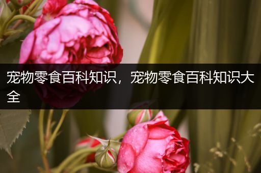 宠物零食百科知识，宠物零食百科知识大全