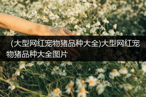 （大型网红宠物猪品种大全)大型网红宠物猪品种大全图片