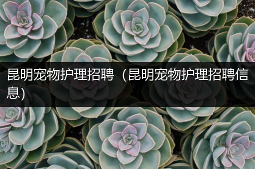 昆明宠物护理招聘（昆明宠物护理招聘信息）