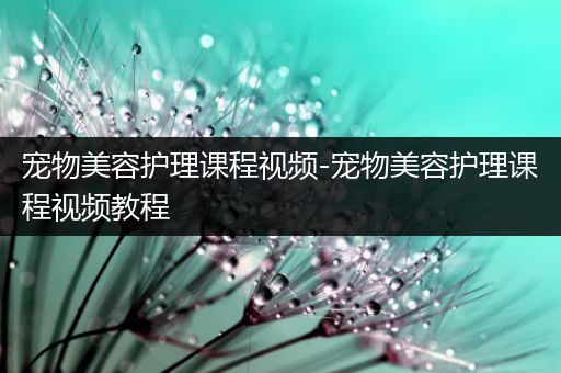宠物美容护理课程视频-宠物美容护理课程视频教程