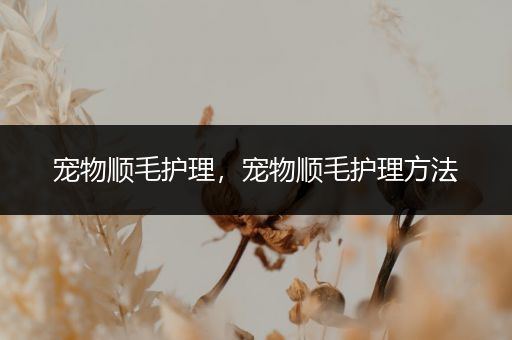 宠物顺毛护理，宠物顺毛护理方法