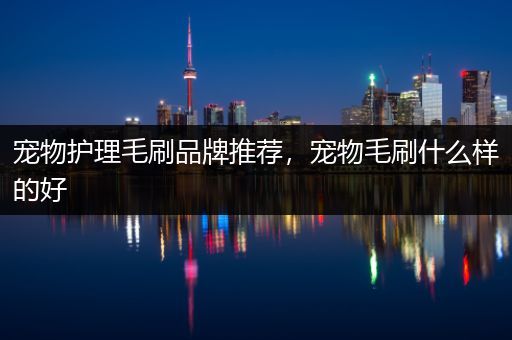 宠物护理毛刷品牌推荐，宠物毛刷什么样的好