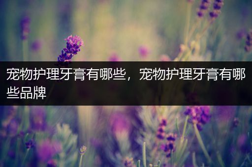 宠物护理牙膏有哪些，宠物护理牙膏有哪些品牌