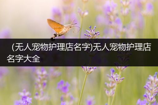 （无人宠物护理店名字)无人宠物护理店名字大全