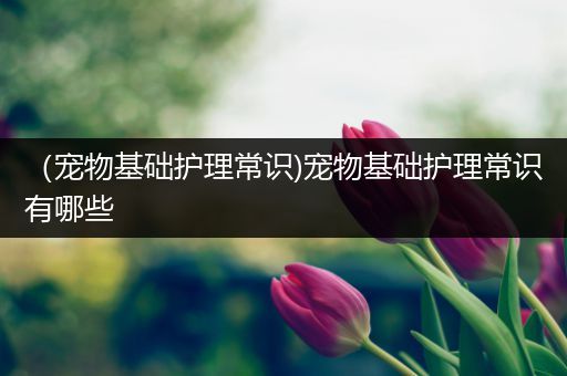 （宠物基础护理常识)宠物基础护理常识有哪些