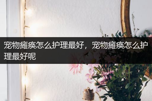 宠物瘫痪怎么护理最好，宠物瘫痪怎么护理最好呢
