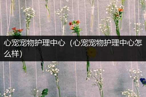 心宠宠物护理中心（心宠宠物护理中心怎么样）