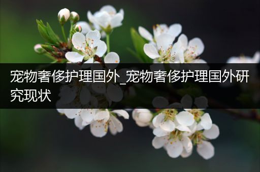 宠物奢侈护理国外_宠物奢侈护理国外研究现状