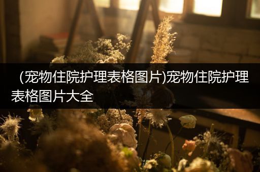 （宠物住院护理表格图片)宠物住院护理表格图片大全