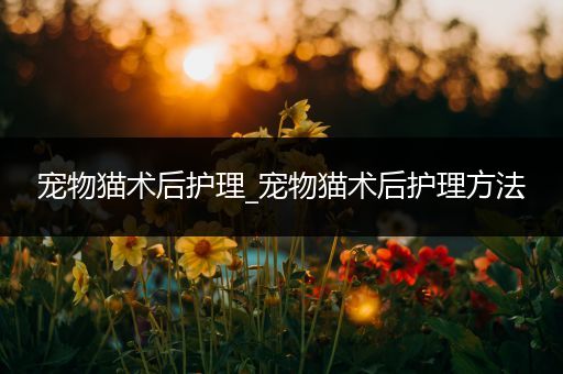 宠物猫术后护理_宠物猫术后护理方法