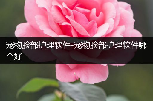 宠物脸部护理软件-宠物脸部护理软件哪个好