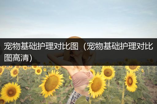 宠物基础护理对比图（宠物基础护理对比图高清）