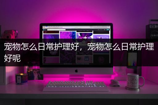 宠物怎么日常护理好，宠物怎么日常护理好呢